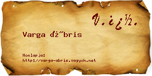 Varga Ábris névjegykártya